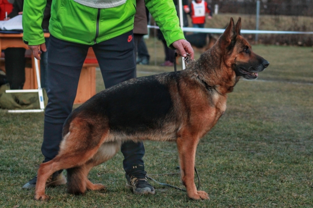 Vac-Vagvölgyi Ossyra